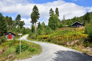 Nissedal, Flesjedalen-1.jpg