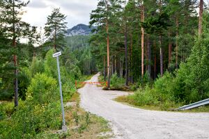 Nissedal, Juvavegen-1.jpg