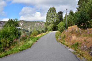 Nissedal, Kleivvegen-1.jpg