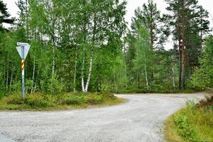 Nissedal, Mjåvassvegen-1.jpg