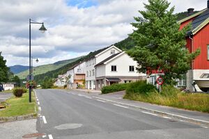 Nissedal, Nissedalsvegen-1.jpg