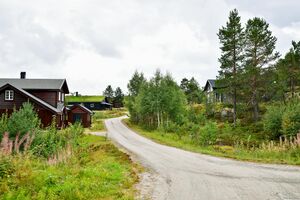 Nissedal, Rosstjønnvegen-1.jpg