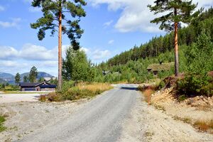 Nissedal, Sandnes-1.jpg