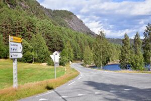 Nissedal, Skålestronda-1.jpg