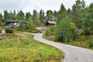 Nissedal, Støylsheia nord-1.jpg