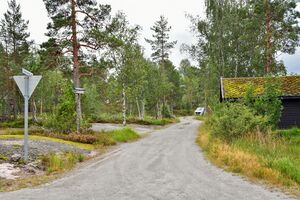 Nissedal, Støylsheia sør-1.jpg