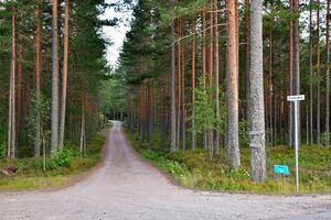 Nissedal, Trytetjønn-1.jpg