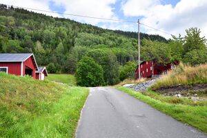 Nissedal, Tveitanevegen-1.jpg