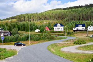 Nissedal, Tveitvegen-1.jpg