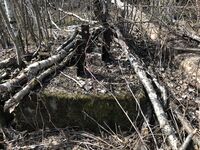 Her sto selve antennemasten på Nittebergtoppen. Foto Steinar Bunæs.