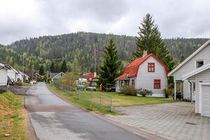 Nittedal Ånebyhaugen 240509.jpg