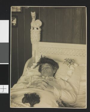 No-nb bldsa 2b033.jpg