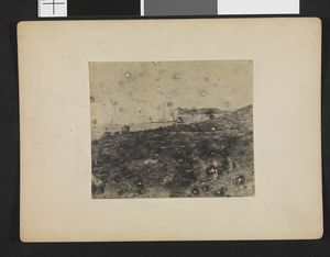 No-nb bldsa 3b094.jpg