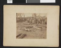 No-nb bldsa 3b103.jpg