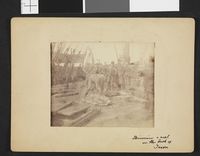 No-nb bldsa 3b104.jpg