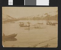 Spekkhoggerjakt: Spekkhoggere omringes av fiskegarn i ei bukt.