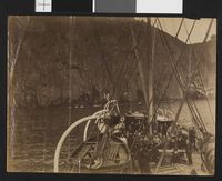 «Thyra» et sted ved kysten av Island.