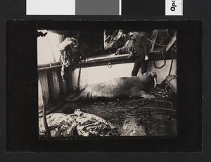 No-nb bldsa 3c044.jpg