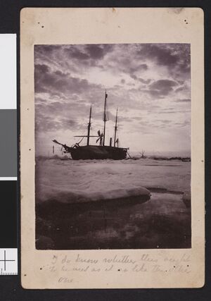 No-nb bldsa 3c055.jpg