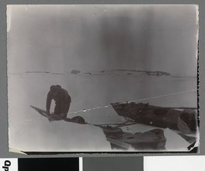 No-nb bldsa 3c086.jpg