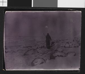 No-nb bldsa 3c089.jpg