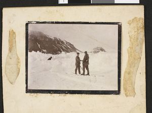 No-nb bldsa 3c114.jpg