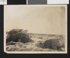 No-nb bldsa 3c223.jpg