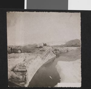 No-nb bldsa 3c228.jpg