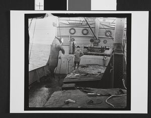 No-nb bldsa 3f024.jpg