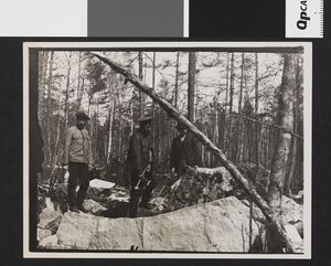 No-nb bldsa 3f213.jpg