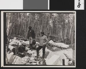 No-nb bldsa 3f214.jpg