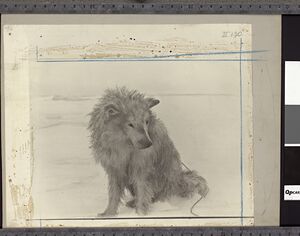 No-nb bldsa q3c051.jpg