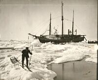 «Fram» i isen, i forgrunnen samler Henrik Greve Blessing opp algeprøver. Foto: Fridtjof Nansen