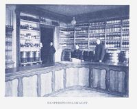 45. No-nb digibok 2008040300053 0303 1.jpg