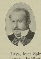 Alexander Lange Kielland (1849–1906), forfatter.