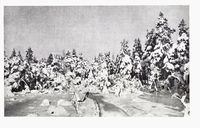 237. No-nb digibok 2010120606059 0221 1.jpg