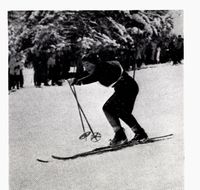 217. No-nb digibok 2010120606059 0419 1.jpg