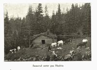 129. No-nb digibok 2010120906061 0531 1.jpg