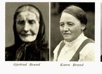 217. No-nb digibok 2011011306083 0017 2.jpg