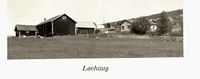 Løvhaugen (gnr. 1)