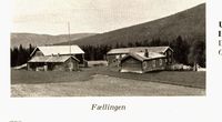 Fellinga (gnr. 11)