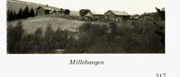 Millehaugen (bnr. 3).