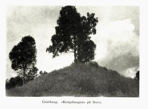 No-nb digibok 2011022205124 0072 1.jpg