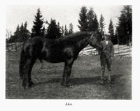 31. No-nb digibok 2011022205124 0211 1.jpg