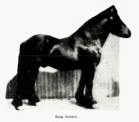 32. No-nb digibok 2011022205124 0213 1.jpg