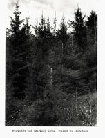 35. No-nb digibok 2011022205124 0293 1.jpg