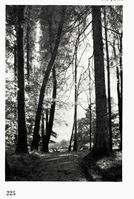 246. No-nb digibok 2011022205226 0225 1.jpg