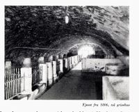 Fjøset i Norske storgårder, 1950.