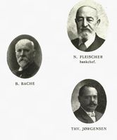 210. No-nb digibok 2011050206002 0272 1.jpg