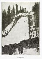 289. No-nb digibok 2011050206002 0338 1.jpg